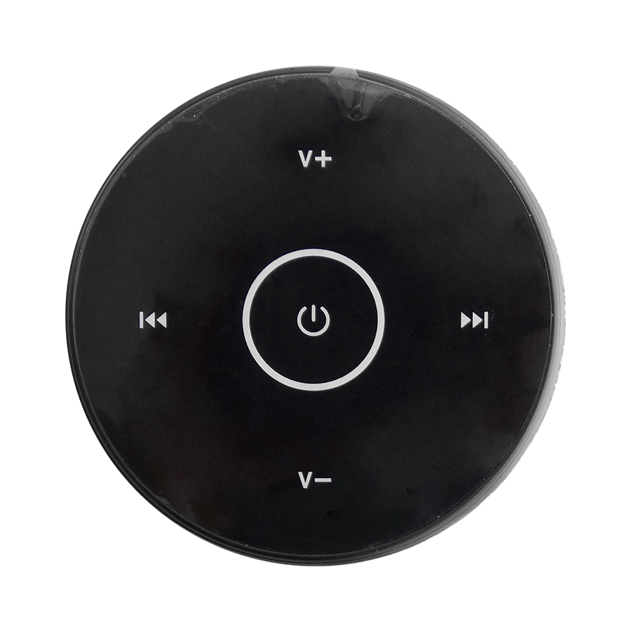 Bluetooth Speaker (WiFi-IP)-3
